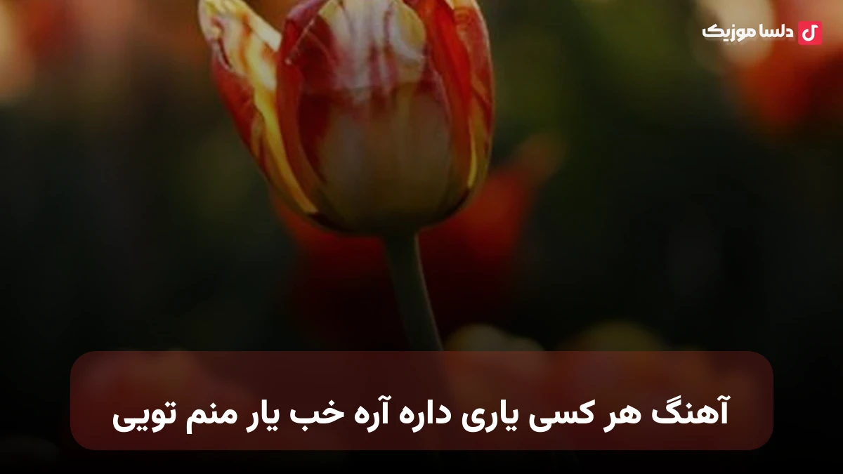 هر کسی یاری داره آره خب یار منم تویی صدای زن
